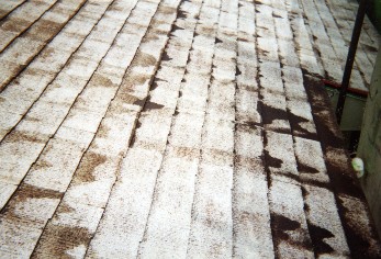 �V�[���[1���