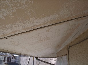 ���ߕt�����